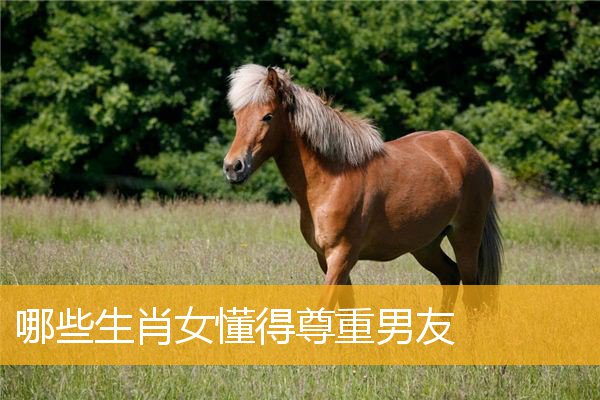 哪些生肖女懂得尊重男友