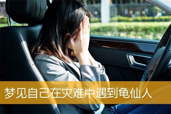 梦见自己在灾难中遇到龟仙人