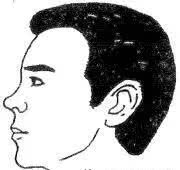 十六种鼻子面相图文分析，看看你财运如何？