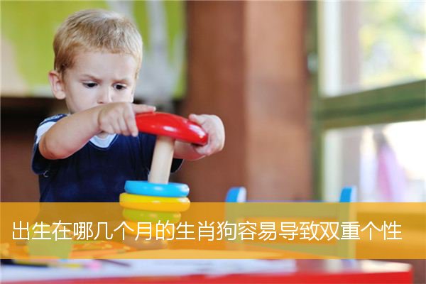 出生在哪几个月的生肖狗容易导致双重个性