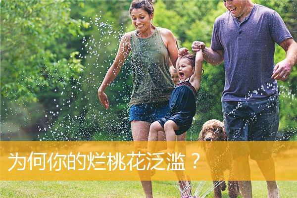 为何你的烂桃花泛滥?