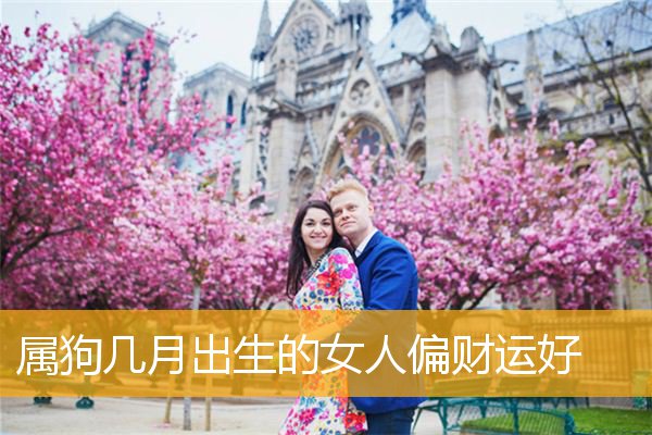 属狗几月出生的女人偏财运好