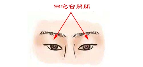 什么面相的人婚后富贵有余，好运连连？