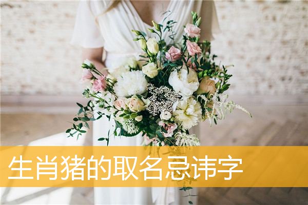 生肖猪的取名忌讳字