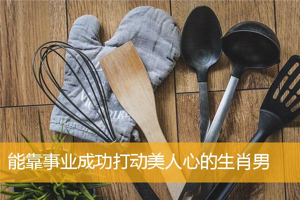 能靠事业成功打动美人心的生肖男