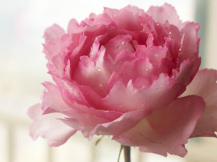 如何跟双子座谈恋爱？相关阅读