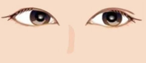 面相大全——眼皮