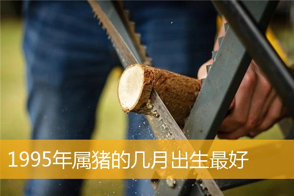 1995年属猪的几月出生最好
