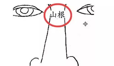 从鼻子看你来财的模式与福气