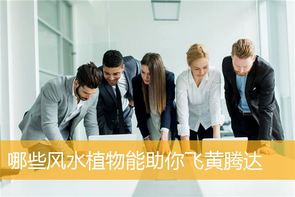 哪些风水植物能助你飞黄腾达