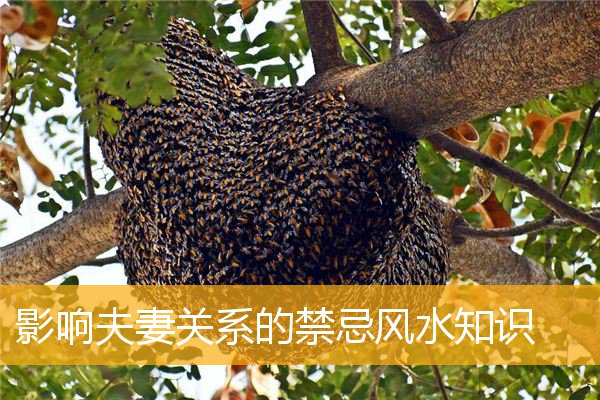 影响夫妻关系的禁忌风水知识