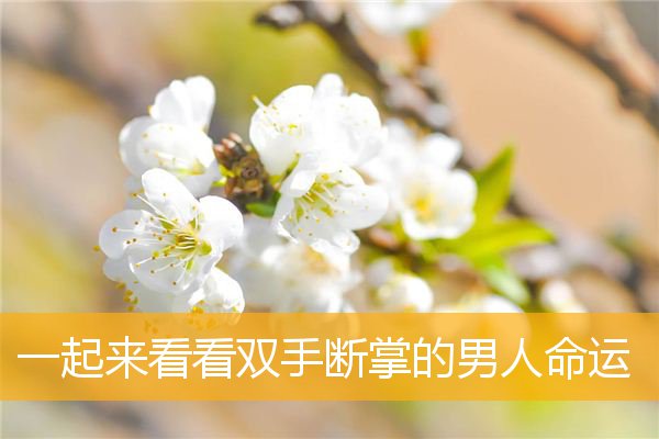 一起来看看双手断掌的男人命运