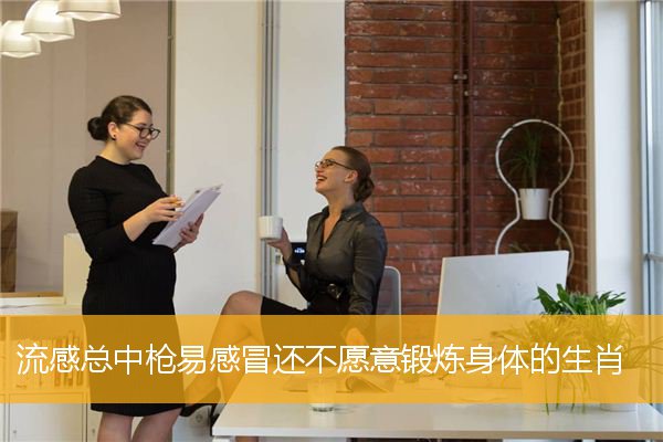 流感总中枪易感冒还不愿意锻炼身体的生肖