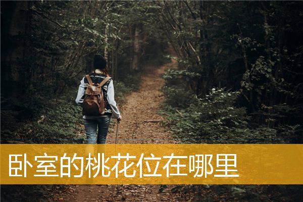 卧室的桃花位在哪里