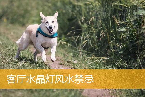 客厅水晶灯风水禁忌