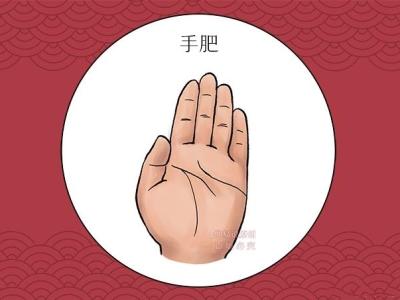 仲易说：这六个部位胖的人才有福