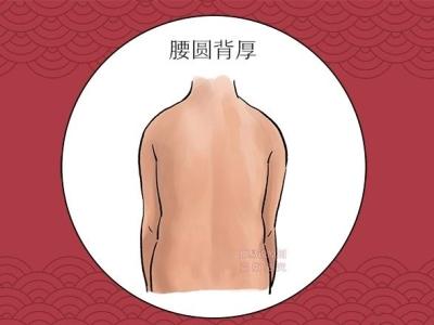 仲易说：这六个部位胖的人才有福