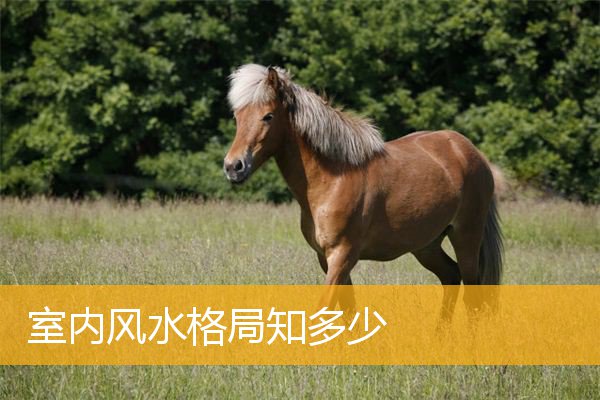 室内风水格局知多少