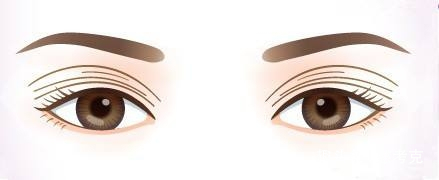 面相大全——眼皮