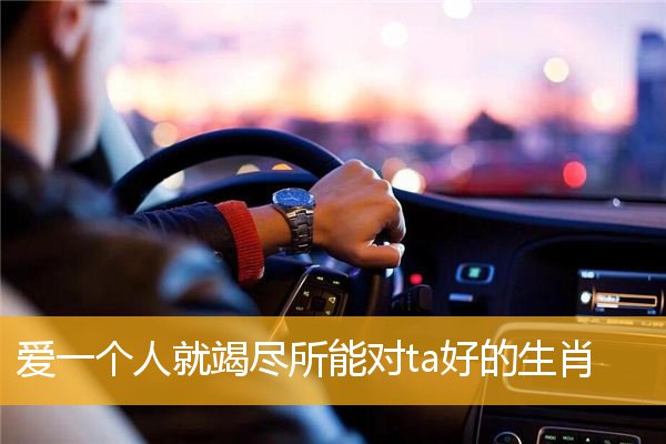 爱一个人就竭尽所能对ta好的生肖