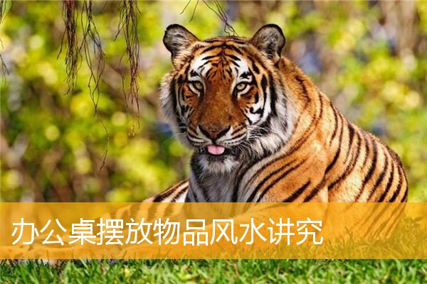 办公桌摆放物品风水讲究