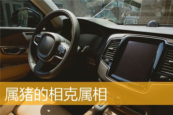 属猪的相克属相