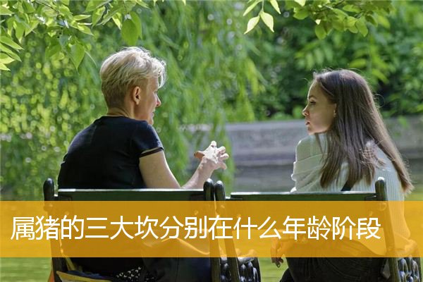 属猪的三大坎分别在什么年龄阶段