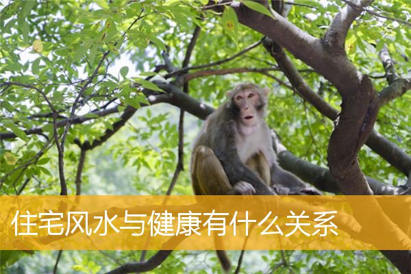 住宅风水与健康有什么关系