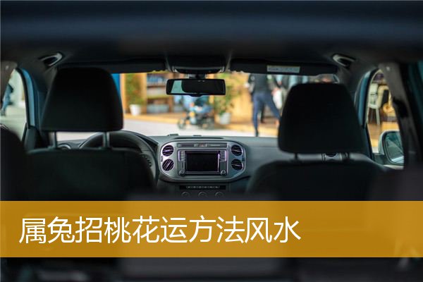 属兔招桃花运方法风水