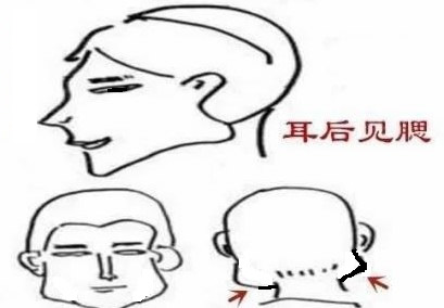 刘恒面相学：什么是反骨面相，反骨怎么看？