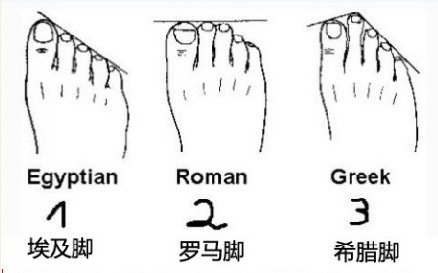 由脚趾长相看女人性格