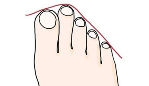 拥有这种脚相的女人,天生富贵命!