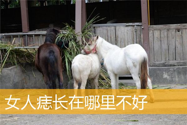 女人痣长在哪里不好