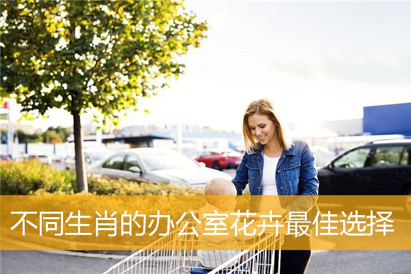 不同生肖的办公室花卉最佳选择