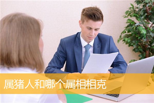 属猪人和哪个属相相克