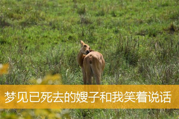 梦见已死去的嫂子和我笑着说话