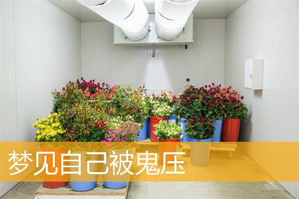 梦见自己被鬼压