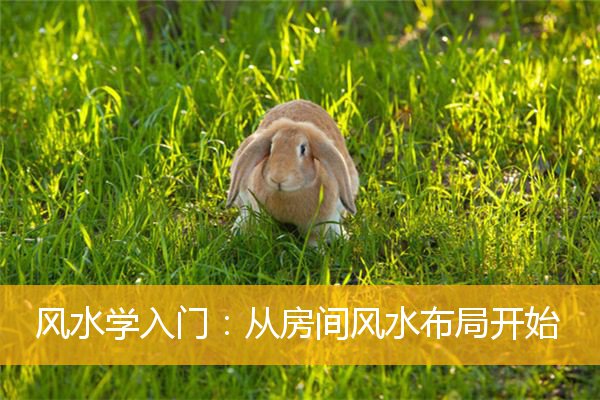 风水学入门:从房间风水布局开始