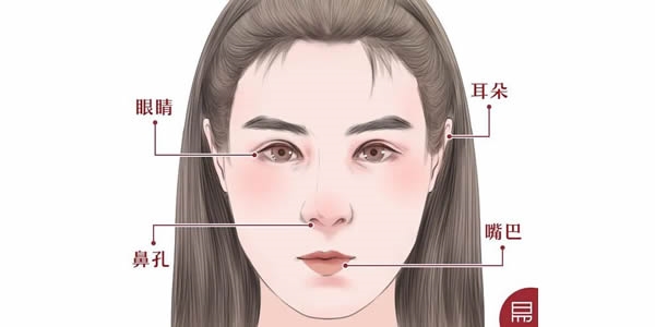 这些部位长得好,财源不断富到老!老易带你读《麻衣神相·神异赋》