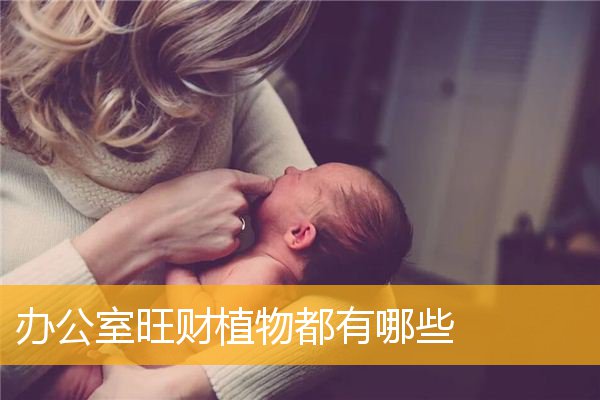 办公室旺财植物都有哪些