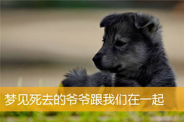 梦见死去的爷爷跟我们在一起