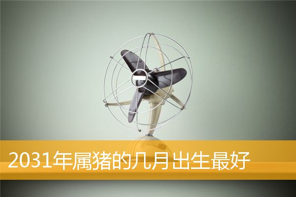 2031年属猪的几月出生最好