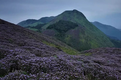 健康产业大气取名2022年 大气招财的起名推荐