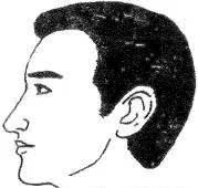 十六种鼻子面相图文分析，看看你财运如何？