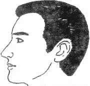 十六种鼻子面相图文分析，看看你财运如何？