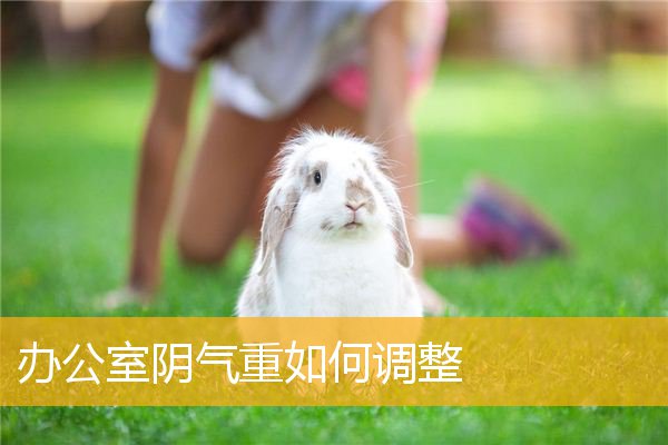 办公室阴气重如何调整