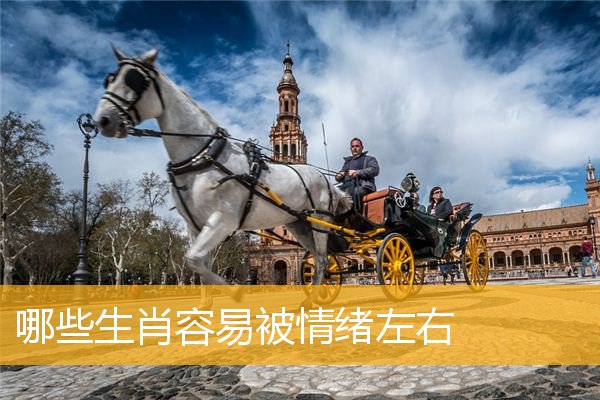 哪些生肖容易被情绪左右