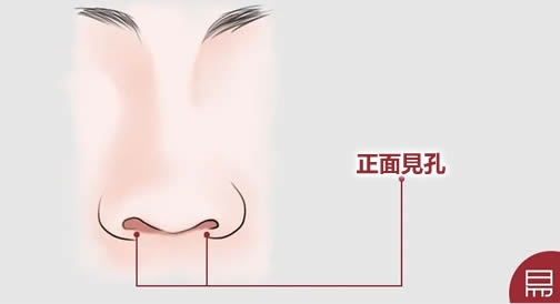 鼻是财库!你命中有多少财富?老易带你读《麻衣神相·神异赋》