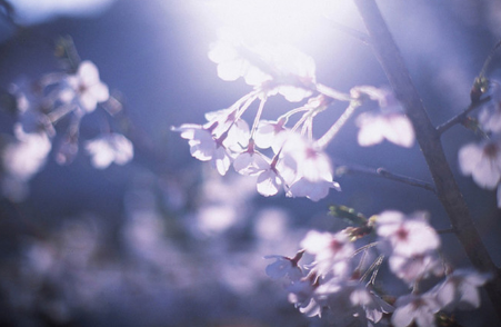 2017年十二星座的感情劫相关阅读