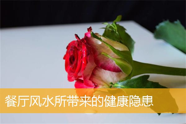 餐厅风水所带来的健康隐患